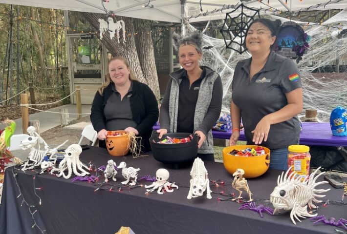 GSF employees standing by a table with Halloween decorations and candies